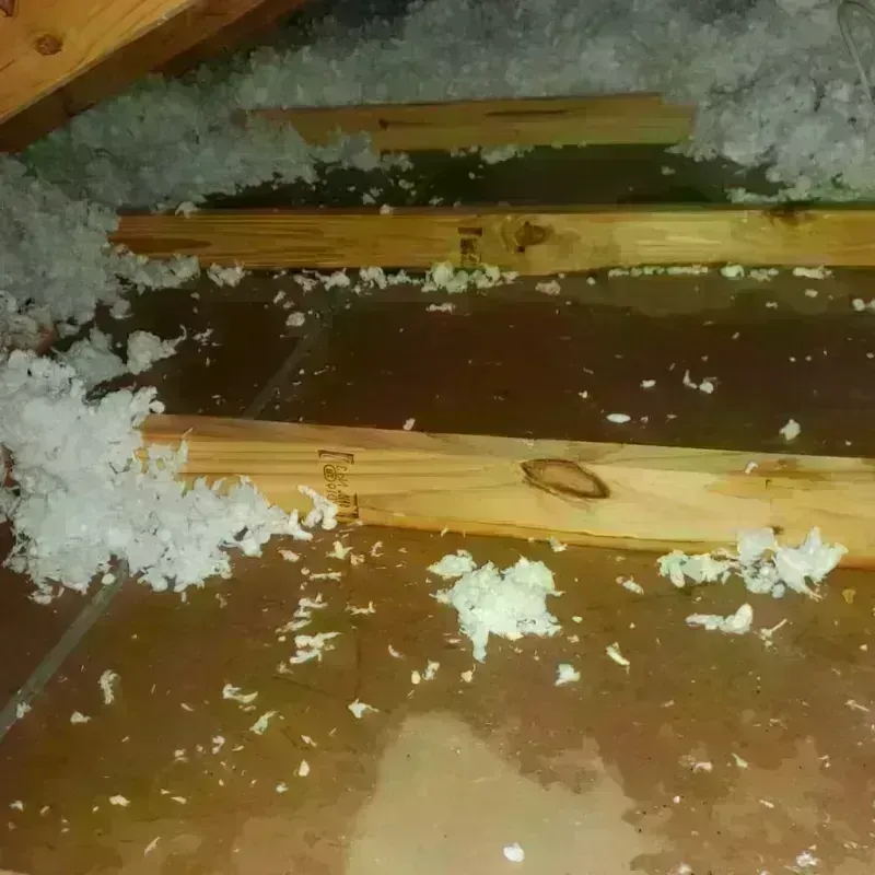 Attic Water Damage in Centralia, MO